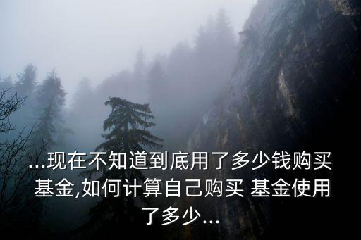 ...現(xiàn)在不知道到底用了多少錢(qián)購(gòu)買(mǎi) 基金,如何計(jì)算自己購(gòu)買(mǎi) 基金使用了多少...