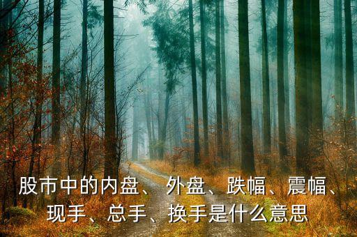 股市中的內(nèi)盤、 外盤、跌幅、震幅、現(xiàn)手、總手、換手是什么意思