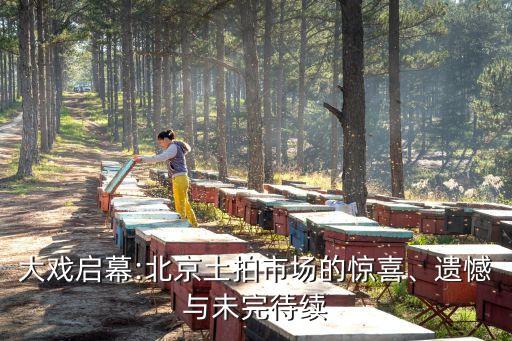 大戲啟幕:北京土拍市場(chǎng)的驚喜、遺憾與未完待續(xù)