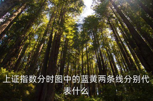 上證指數(shù)分時圖中的藍(lán)黃兩條線分別代表什么