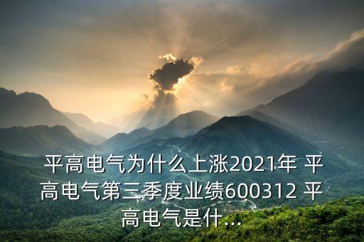  平高電氣為什么上漲2021年 平高電氣第三季度業(yè)績600312 平高電氣是什...