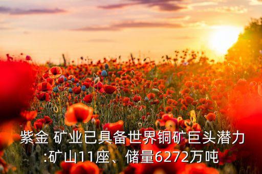  紫金 礦業(yè)已具備世界銅礦巨頭潛力:礦山11座、儲(chǔ)量6272萬噸
