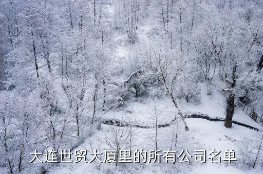  大連世貿大廈里的所有公司名單