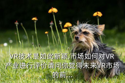 VR技術(shù)是如此新穎,市場如何對VR產(chǎn)業(yè)進(jìn)行評價請問你覺得未來VR市場的前...