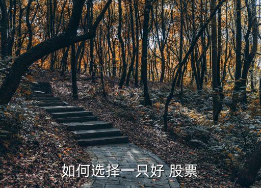 怎么能找到好股票,在哪里能找到關于股票的群
