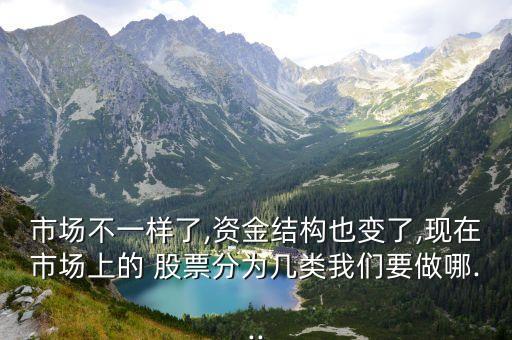 市場不一樣了,資金結構也變了,現(xiàn)在市場上的 股票分為幾類我們要做哪...