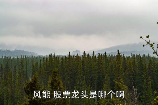 風(fēng)能 股票龍頭是哪個啊