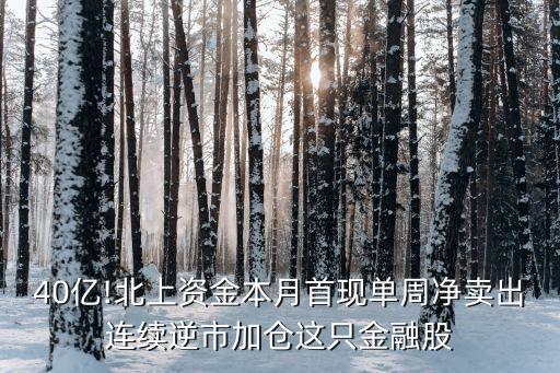 40億!北上資金本月首現(xiàn)單周凈賣(mài)出連續(xù)逆市加倉(cāng)這只金融股