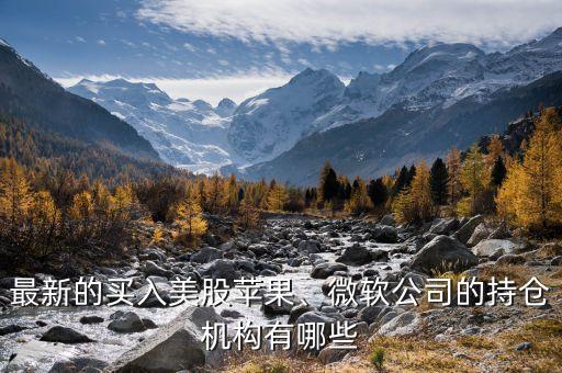 最新的買入美股蘋果、微軟公司的持倉機構(gòu)有哪些