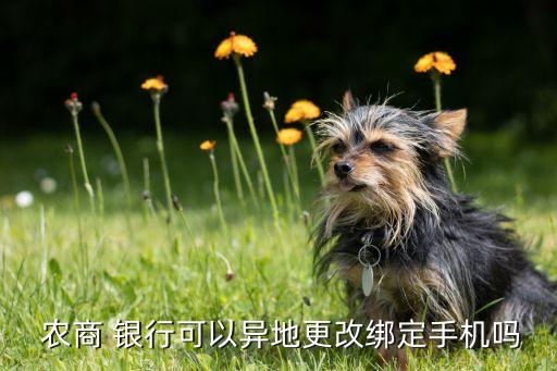 海口農(nóng)商銀行網(wǎng)上銀行,中國農(nóng)商手機銀行網(wǎng)上銀行下載