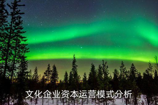 文化企業(yè)資本運(yùn)營模式分析