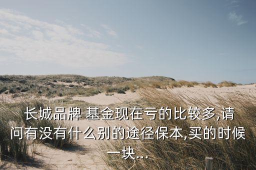  長(zhǎng)城品牌 基金現(xiàn)在虧的比較多,請(qǐng)問(wèn)有沒(méi)有什么別的途徑保本,買的時(shí)候一塊...