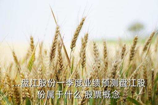 ...盤江股份一季度業(yè)績預(yù)測盤江股份屬于什么 股票概念