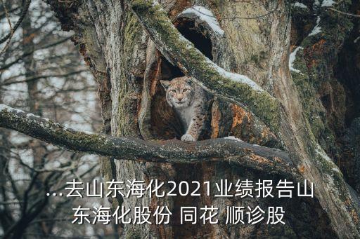 ...去山東?；?021業(yè)績(jī)報(bào)告山東海化股份 同花 順診股