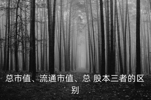 總市值、流通市值、總 股本三者的區(qū)別