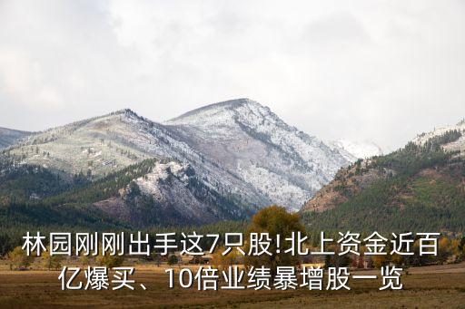 林園剛剛出手這7只股!北上資金近百億爆買、10倍業(yè)績暴增股一覽