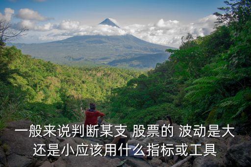 一般來說判斷某支 股票的 波動(dòng)是大還是小應(yīng)該用什么指標(biāo)或工具