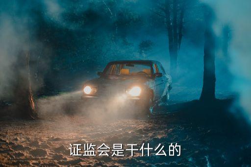 中國證監(jiān)會(huì)領(lǐng)導(dǎo)分工