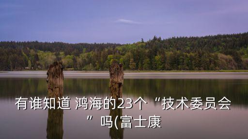 鴻海集團(tuán)股東,鴻?？萍技瘓F(tuán)股東