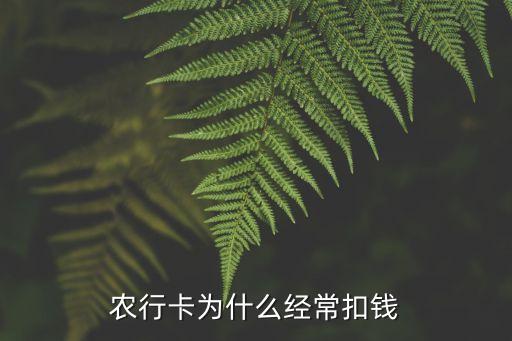 農(nóng)行卡為什么經(jīng)?？坼X