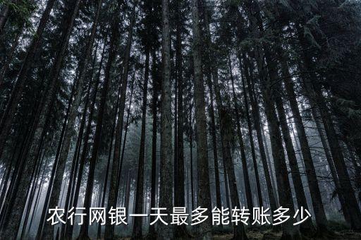 農行網(wǎng)銀一天最多能轉賬多少