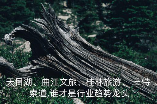 天目湖、曲江文旅、桂林旅游、 三特 索道,誰才是行業(yè)趨勢龍頭