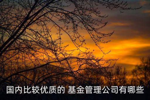 國內比較優(yōu)質的 基金管理公司有哪些