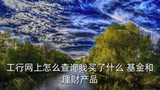 工行網上怎么查詢我買了什么 基金和理財產品