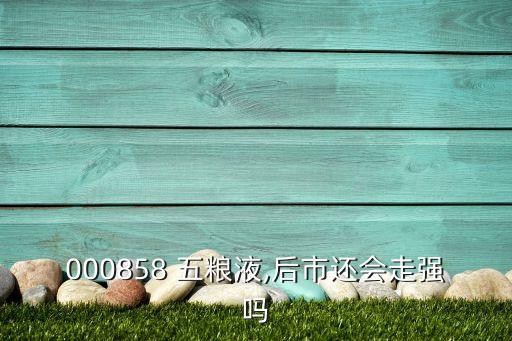 五糧液集團(tuán)年報