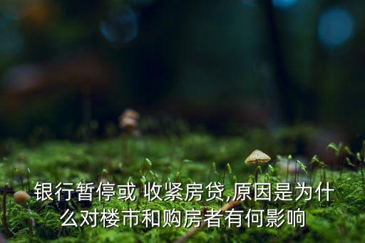  銀行暫?；?收緊房貸,原因是為什么對(duì)樓市和購(gòu)房者有何影響