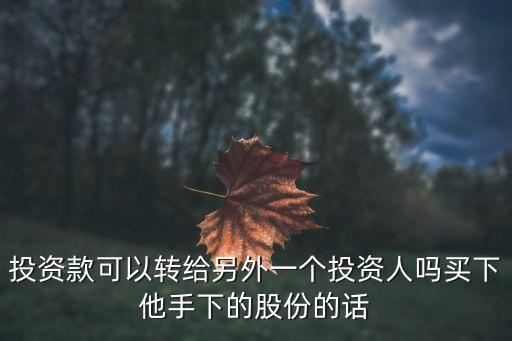 投資款可以轉(zhuǎn)給另外一個(gè)投資人嗎買(mǎi)下他手下的股份的話