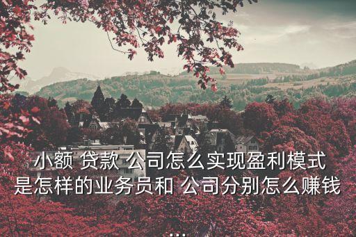  小額 貸款 公司怎么實現盈利模式是怎樣的業(yè)務員和 公司分別怎么賺錢...