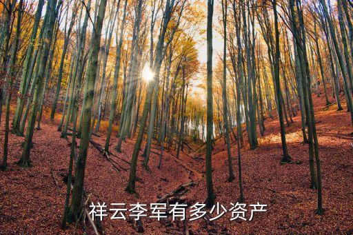  祥云李軍有多少資產