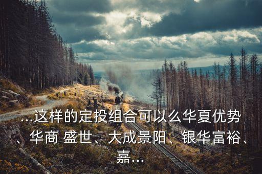 ...這樣的定投組合可以么華夏優(yōu)勢、華商 盛世、大成景陽、銀華富裕、嘉...