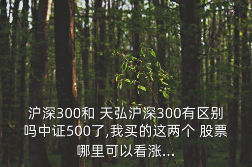 滬深300和 天弘滬深300有區(qū)別嗎中證500了,我買(mǎi)的這兩個(gè) 股票哪里可以看漲...