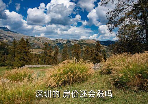 2035年中國房?jī)r(jià)