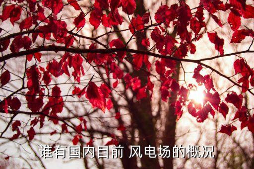 誰有國內(nèi)目前 風(fēng)電場(chǎng)的概況