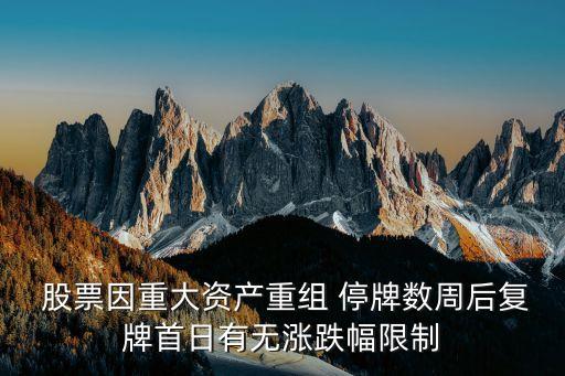  股票因重大資產(chǎn)重組 停牌數(shù)周后復牌首日有無漲跌幅限制