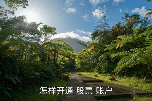 怎樣開(kāi)通 股票 賬戶(hù)