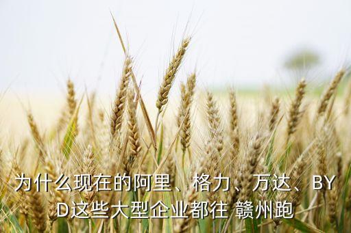 為什么現(xiàn)在的阿里、格力、萬達、BYD這些大型企業(yè)都往 贛州跑