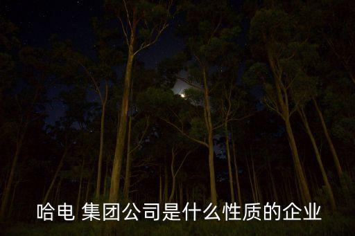  哈電 集團公司是什么性質(zhì)的企業(yè)
