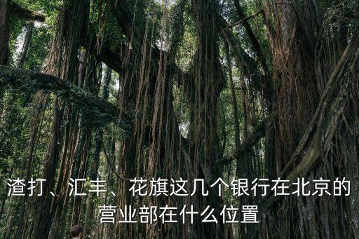 渣打、匯豐、花旗這幾個(gè)銀行在北京的營(yíng)業(yè)部在什么位置