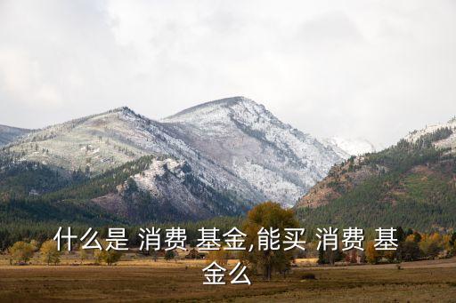 什么是 消費(fèi) 基金,能買(mǎi) 消費(fèi) 基金么