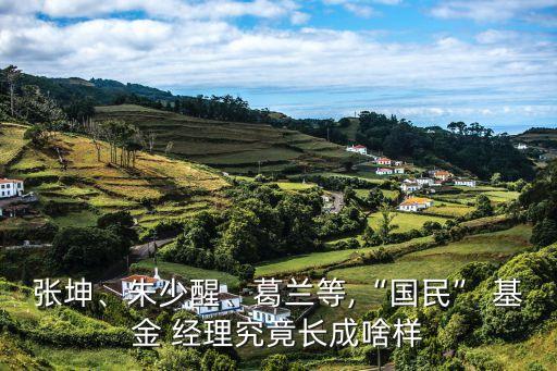 張坤、朱少醒、葛蘭等,“國民” 基金 經(jīng)理究竟長成啥樣