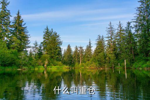 什么是基金重倉(cāng)股,社保基金重倉(cāng)股一覽