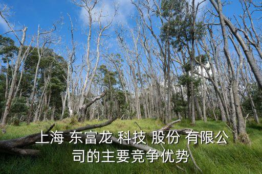  上海 東富龍 科技 股份 有限公司的主要競(jìng)爭優(yōu)勢(shì)