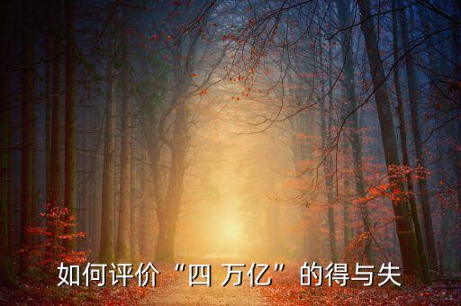 如何評(píng)價(jià)“四 萬億”的得與失