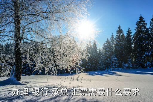 申請(qǐng)開具銀行承兌匯票,申請(qǐng)銀行承兌匯票需要提供以下哪些資料