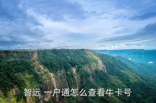 智遠(yuǎn) 一戶通怎么查看牛卡號(hào)