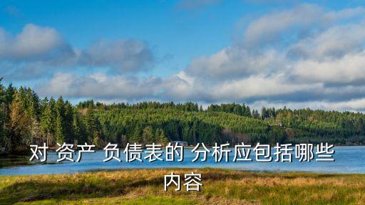 對 資產(chǎn) 負債表的 分析應包括哪些內(nèi)容